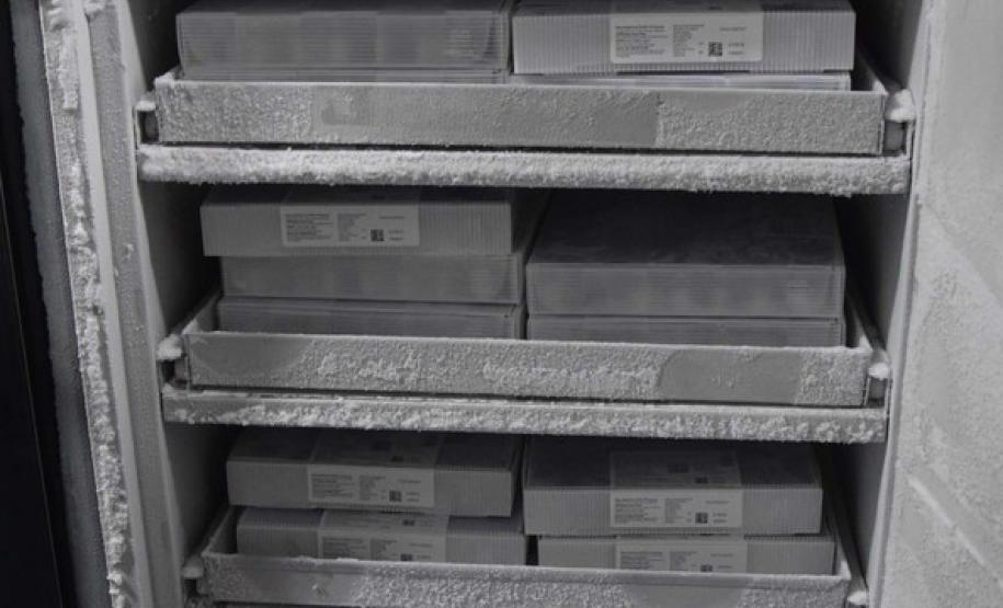 Paraná recebe novo lote com 145 mil vacinas da Pfizer contra a Covid-19