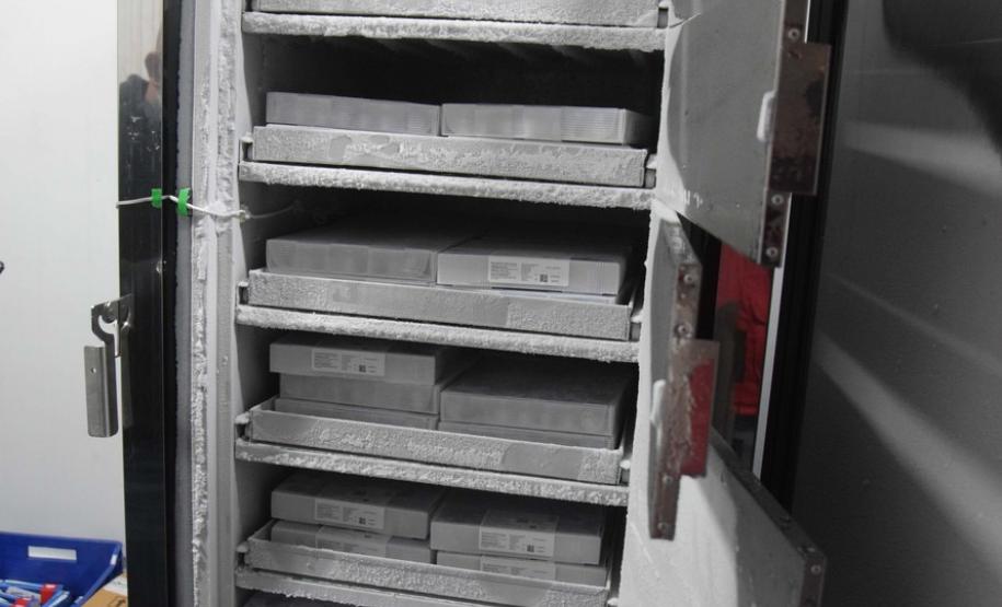 Paraná recebe novo lote com 145 mil vacinas da Pfizer contra a Covid-19