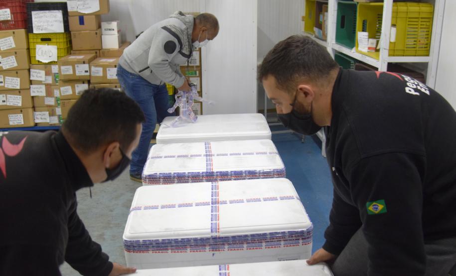 Mais 238 mil vacinas contra a Covid-19 chegam ao Paraná e Estado ultrapassa 6 milhões de doses recebidas