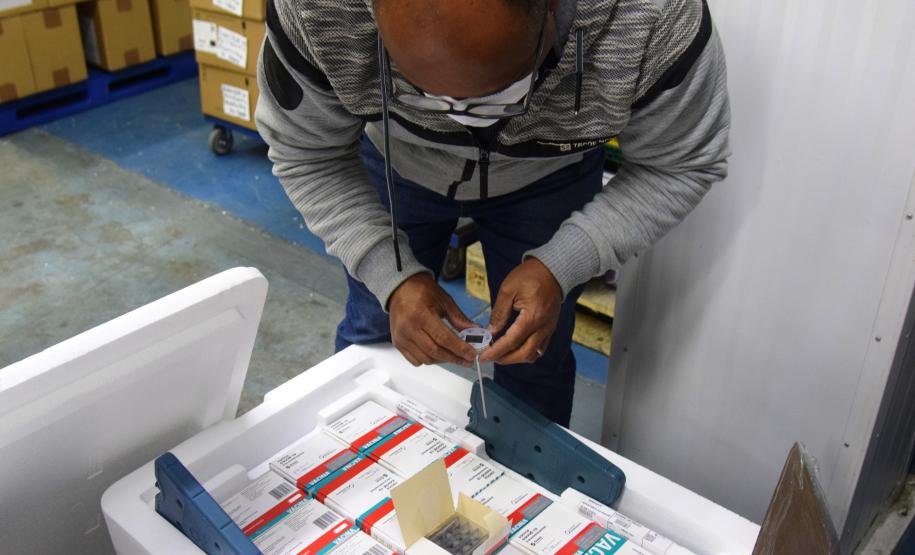 Mais 238 mil vacinas contra a Covid-19 chegam ao Paraná e Estado ultrapassa 6 milhões de doses recebidas