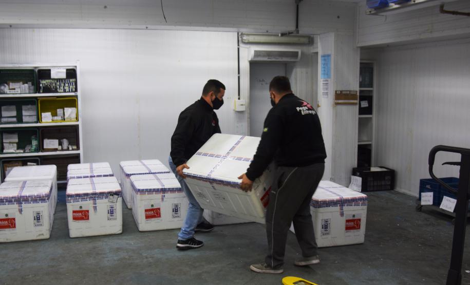 Mais 238 mil vacinas contra a Covid-19 chegam ao Paraná e Estado ultrapassa 6 milhões de doses recebidas