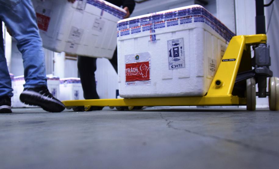 Mais 238 mil vacinas contra a Covid-19 chegam ao Paraná e Estado ultrapassa 6 milhões de doses recebidas