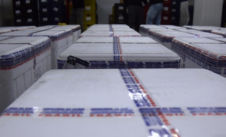 Mais 238 mil vacinas contra a Covid-19 chegam ao Paraná e Estado ultrapassa 6 milhões de doses recebidas