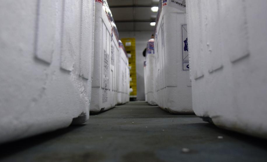 Mais 238 mil vacinas contra a Covid-19 chegam ao Paraná e Estado ultrapassa 6 milhões de doses recebidas