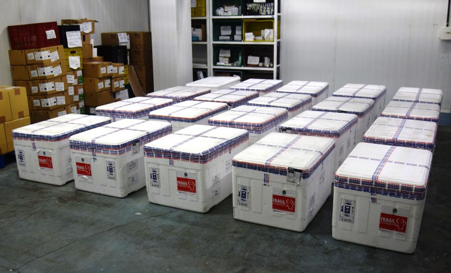 Mais 238 mil vacinas contra a Covid-19 chegam ao Paraná e Estado ultrapassa 6 milhões de doses recebidas