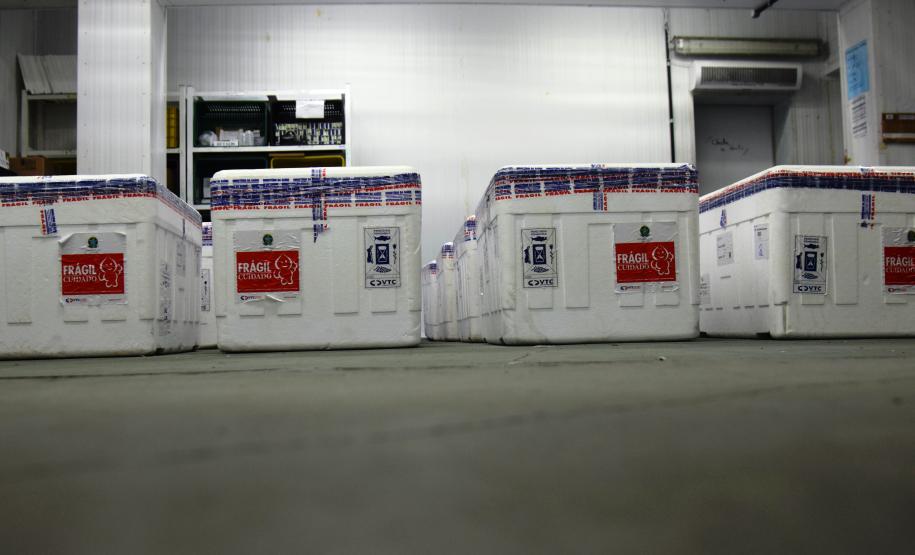 Mais 238 mil vacinas contra a Covid-19 chegam ao Paraná e Estado ultrapassa 6 milhões de doses recebidas