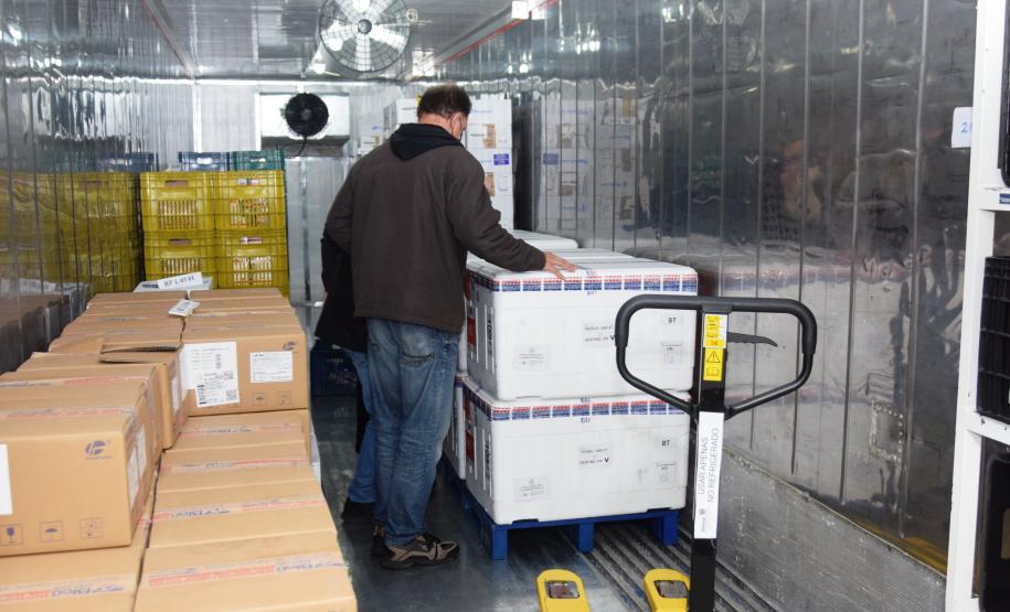 Paraná recebe 234 mil vacinas contra a Covid-19; doses da Pfizer vão para os 399 municípios