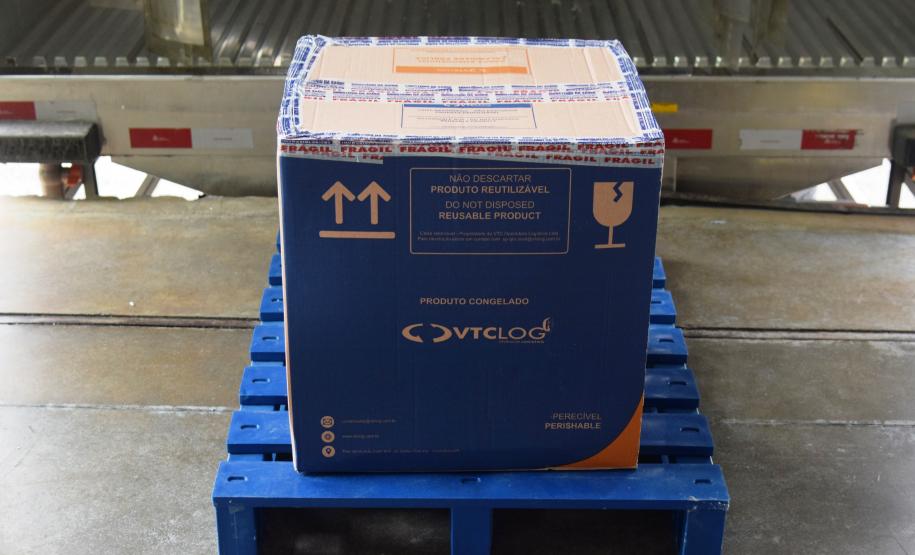 Paraná recebe 234 mil vacinas contra a Covid-19; doses da Pfizer vão para os 399 municípios