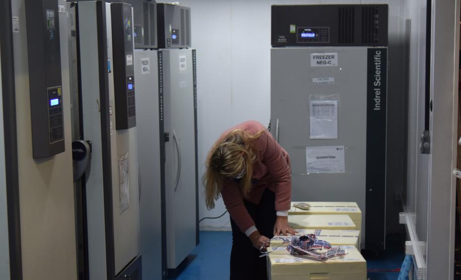 Paraná recebe 234 mil vacinas contra a Covid-19; doses da Pfizer vão para os 399 municípios