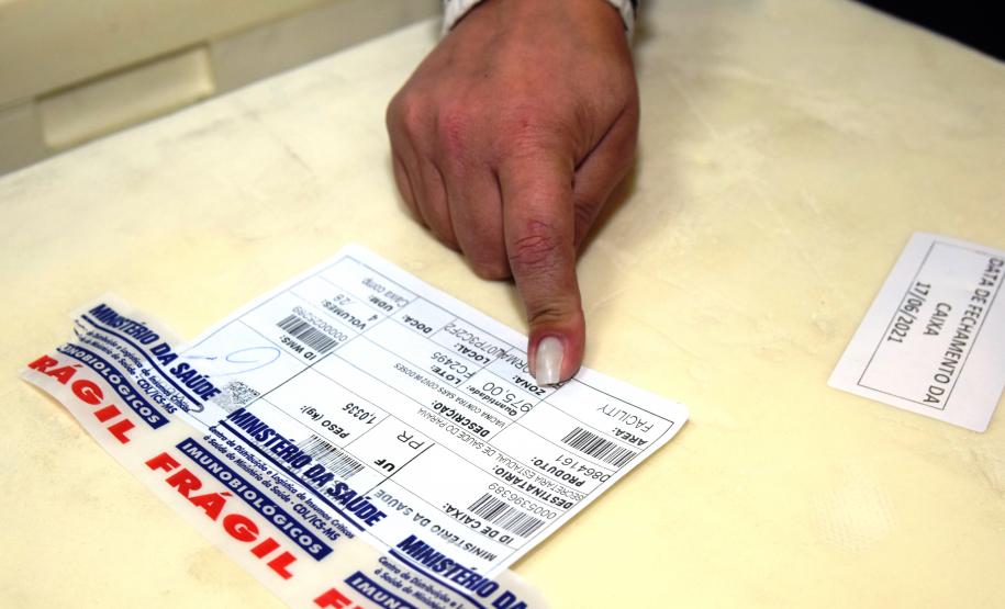 Paraná recebe 234 mil vacinas contra a Covid-19; doses da Pfizer vão para os 399 municípios
