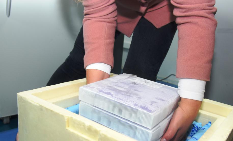 Paraná recebe 234 mil vacinas contra a Covid-19; doses da Pfizer vão para os 399 municípios