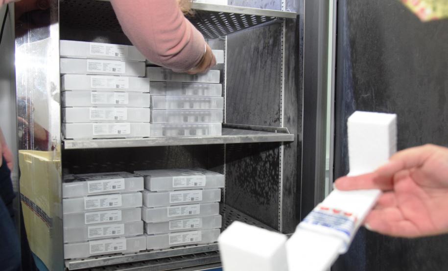 Paraná recebe 234 mil vacinas contra a Covid-19; doses da Pfizer vão para os 399 municípios