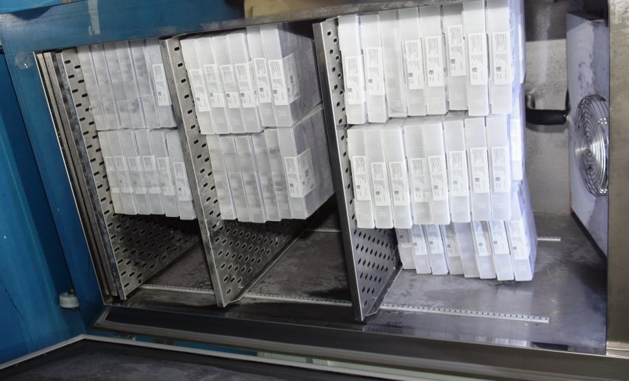 Paraná recebe 234 mil vacinas contra a Covid-19; doses da Pfizer vão para os 399 municípios