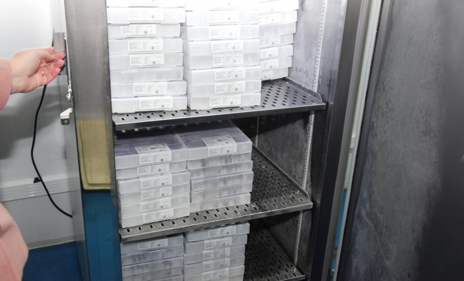 Paraná recebe 234 mil vacinas contra a Covid-19; doses da Pfizer vão para os 399 municípios