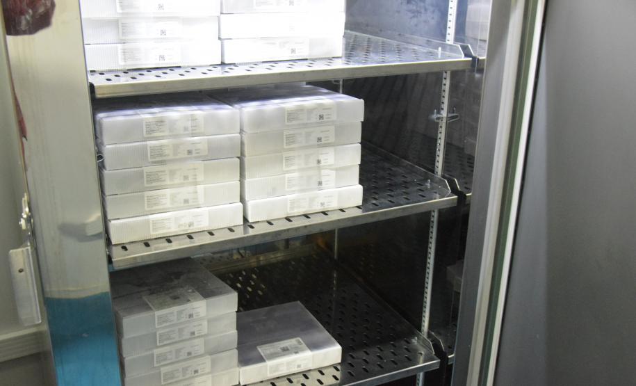 Paraná recebe 234 mil vacinas contra a Covid-19; doses da Pfizer vão para os 399 municípios