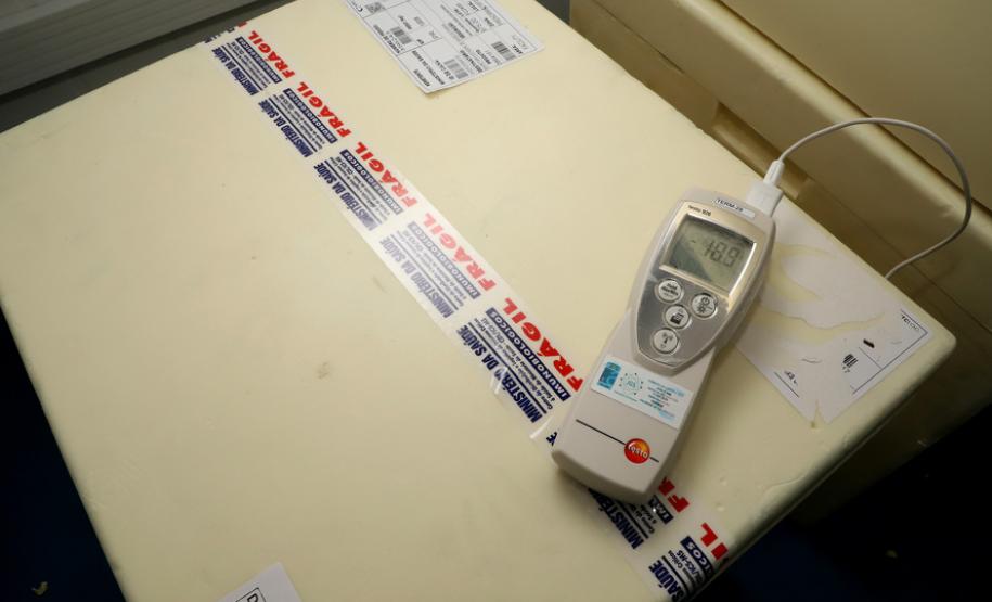 O Paraná recebeu na manhã desta sexta-feira (18) um novo lote de vacinas contra a Covid-19. São 143.910 doses do imunizante Comirnaty, produzido pela Pfizer/BioNtech - Curitiba, 18/06/2021