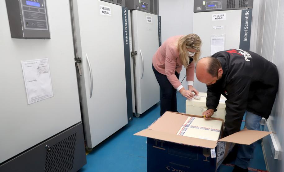 O Paraná recebeu na manhã desta sexta-feira (18) um novo lote de vacinas contra a Covid-19. São 143.910 doses do imunizante Comirnaty, produzido pela Pfizer/BioNtech - Curitiba, 18/06/2021