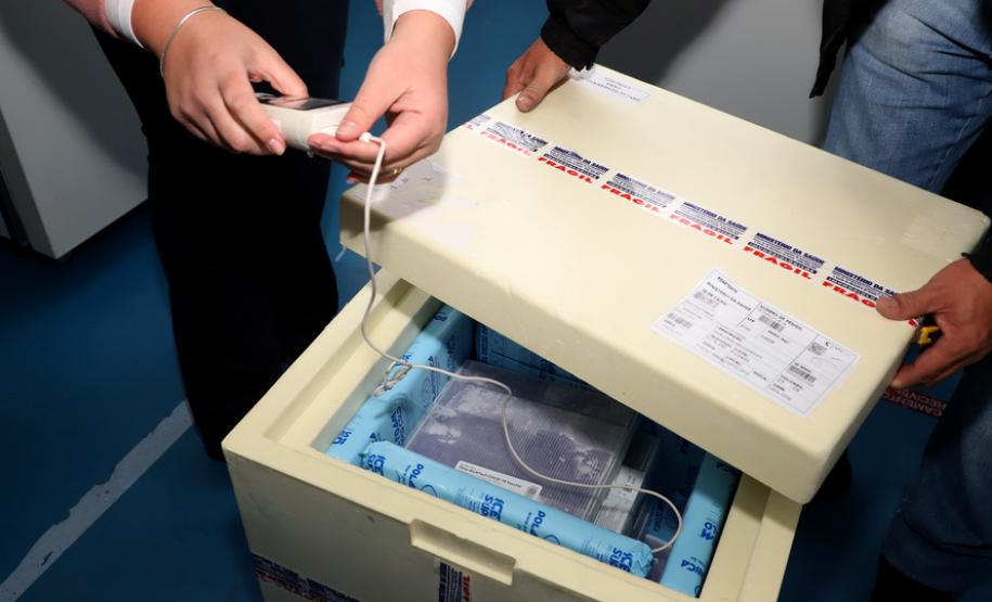 O Paraná recebeu na manhã desta sexta-feira (18) um novo lote de vacinas contra a Covid-19. São 143.910 doses do imunizante Comirnaty, produzido pela Pfizer/BioNtech - Curitiba, 18/06/2021