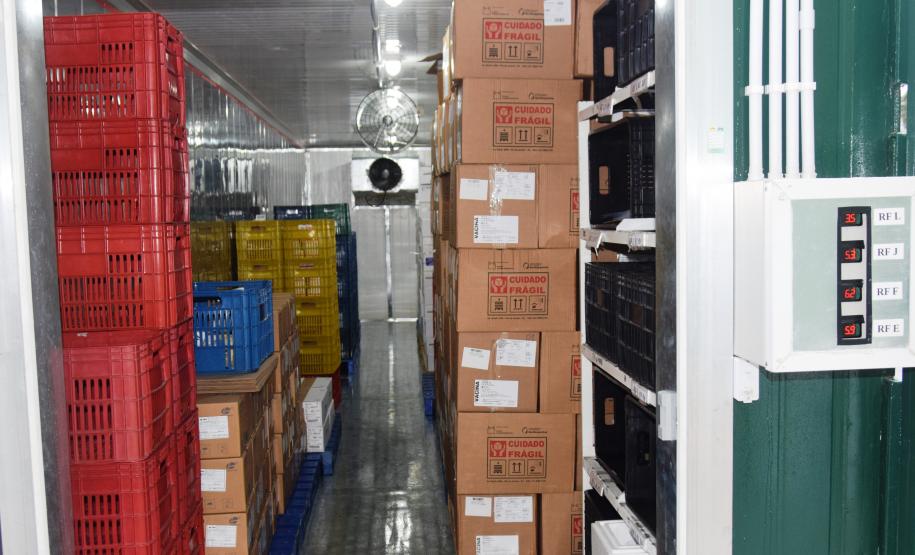 451,7 mil vacinas chegam ao Paraná; Cemepar separa as doses para os municípios