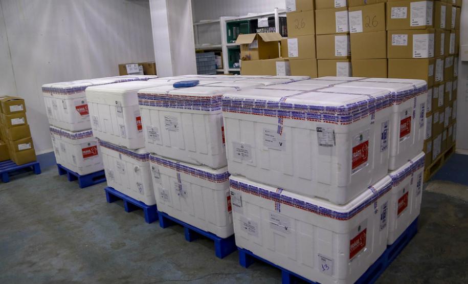 Paraná recebe 548 mil vacinas contra a Covid-19 para continuar campanha de imunização
