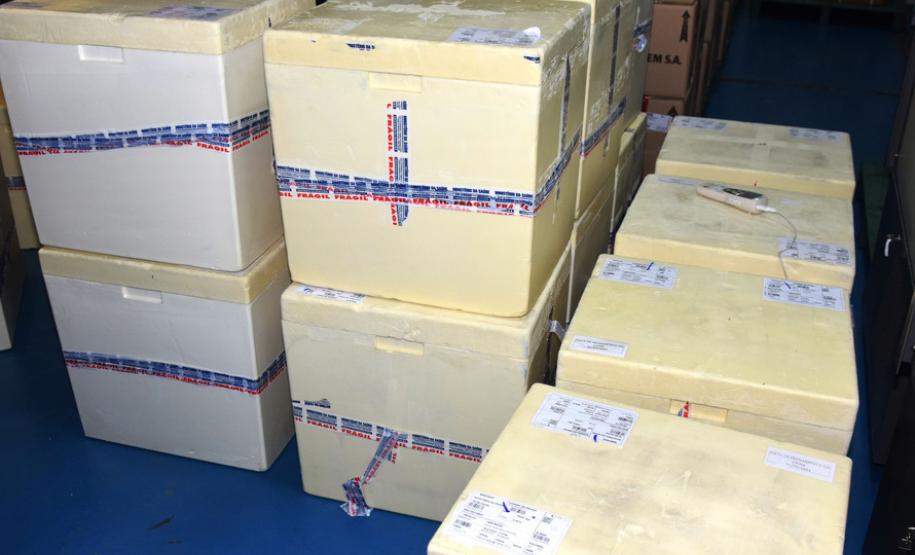 Paraná recebe 548 mil vacinas contra a Covid-19 para continuar campanha de imunização