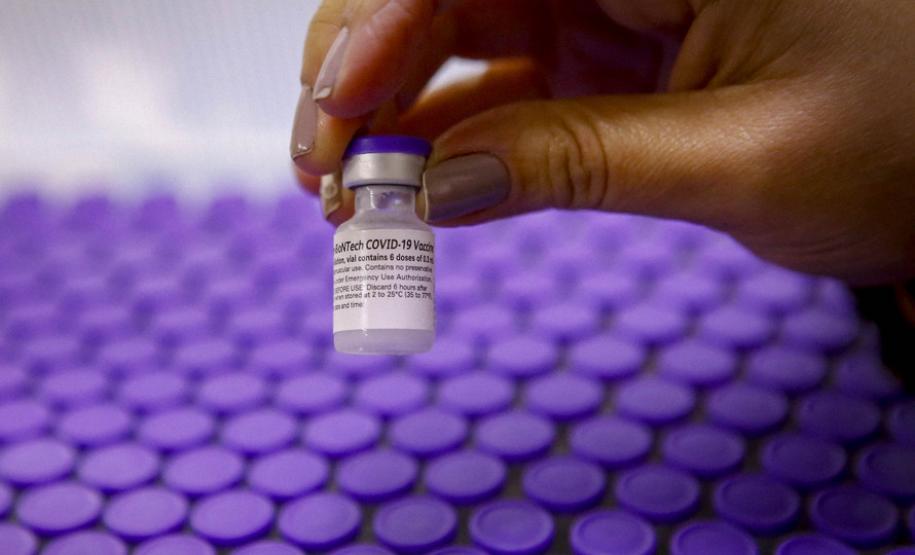 Paraná recebe 173,1 mil doses contra a Covid-19, todas para população em geral