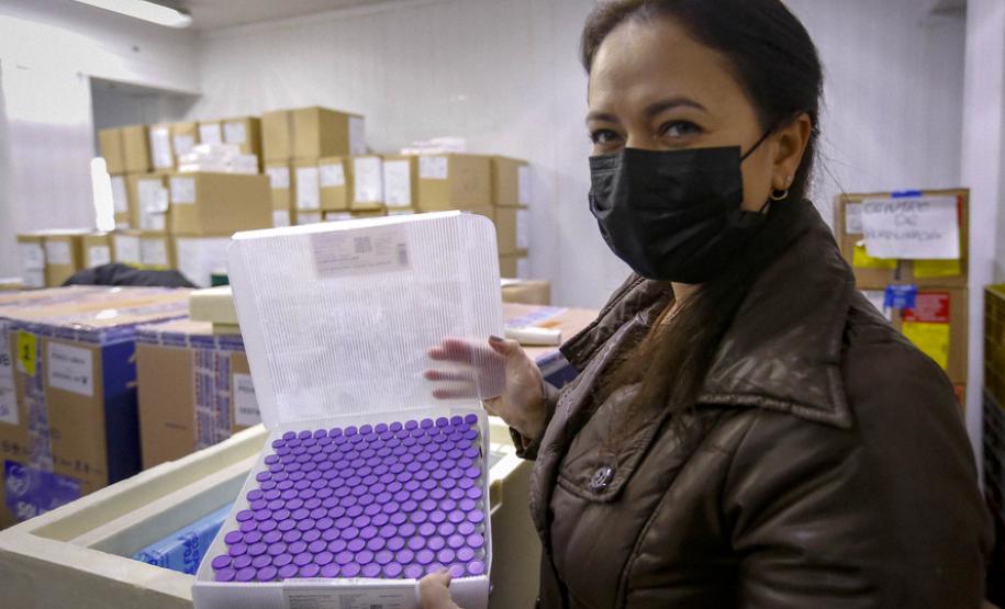 Paraná recebe 173,1 mil doses contra a Covid-19, todas para população em geral