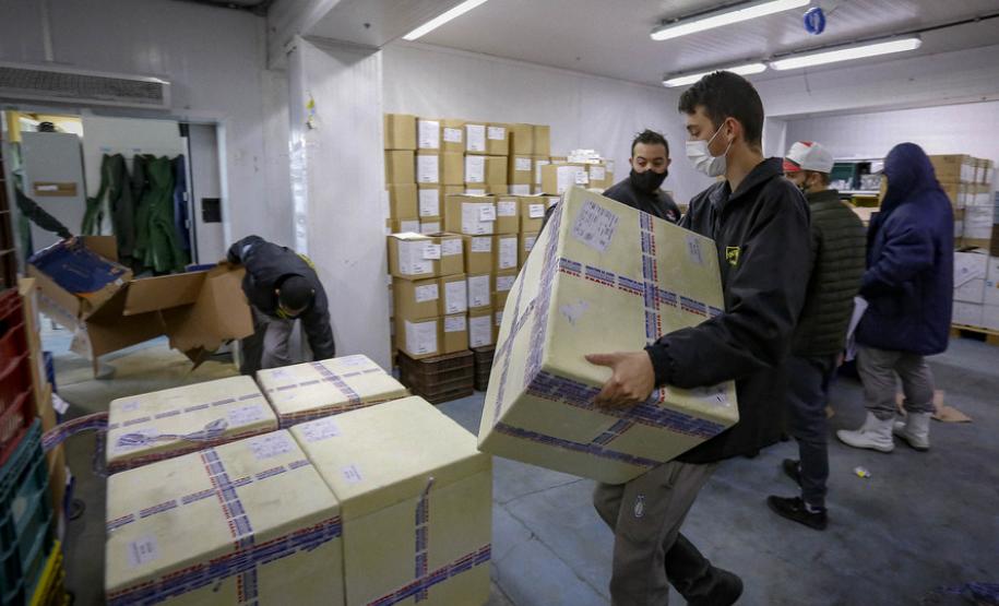 Paraná recebe 173,1 mil doses contra a Covid-19, todas para população em geral