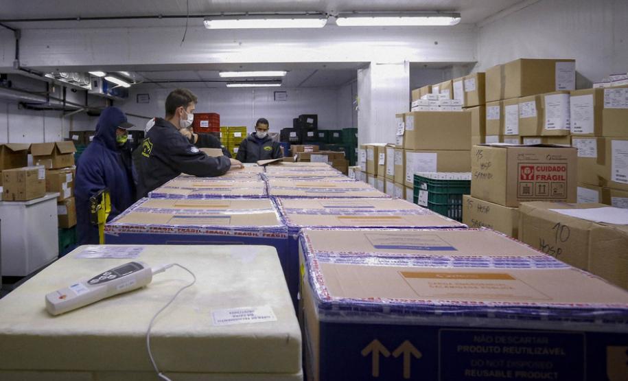 Paraná recebe 173,1 mil doses contra a Covid-19, todas para população em geral