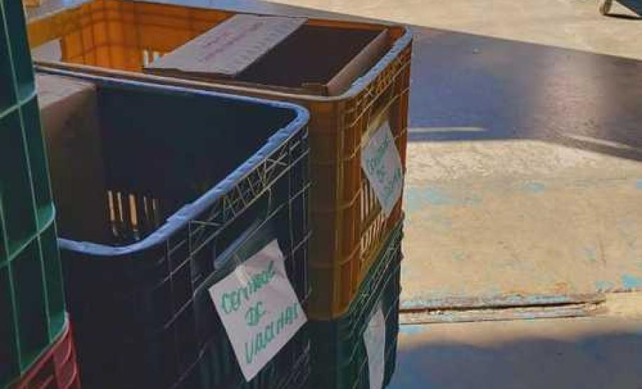 Estado começa a distribuir 85 mil vacinas contra a Covid-19 para primeira dose