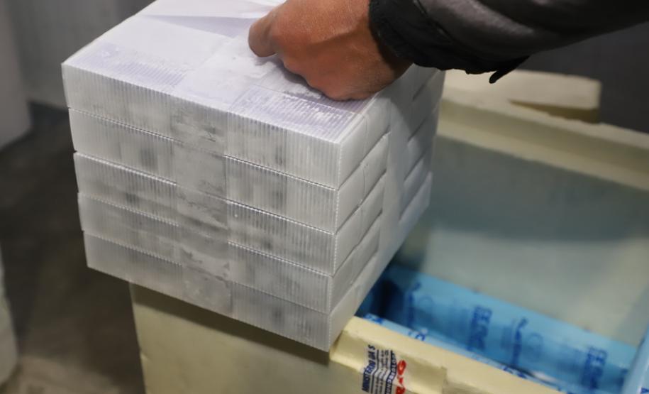 118.170 doses da Pfizer chegam ao Paraná, completando a remessa da semana.