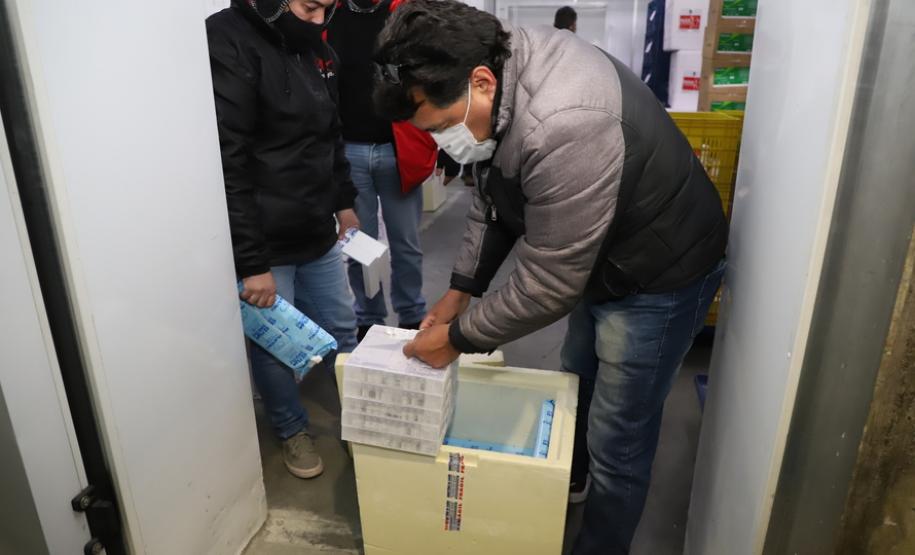 118.170 doses da Pfizer chegam ao Paraná, completando a remessa da semana.