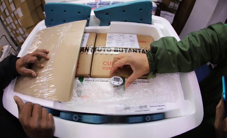 Paraná recebe 57,6 mil doses de CoronaVac