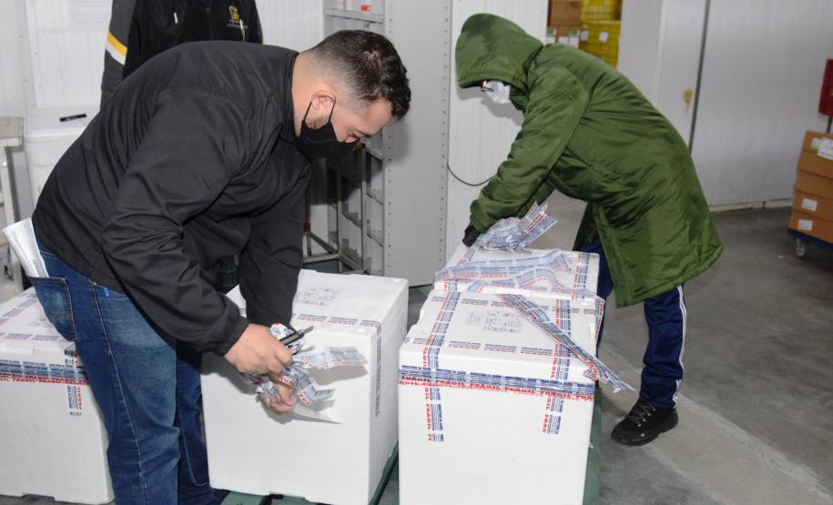 Paraná recebe novas doses e distribui mais 158,6 mil vacinas contra a Covid-19; confira o quantitativo por regional