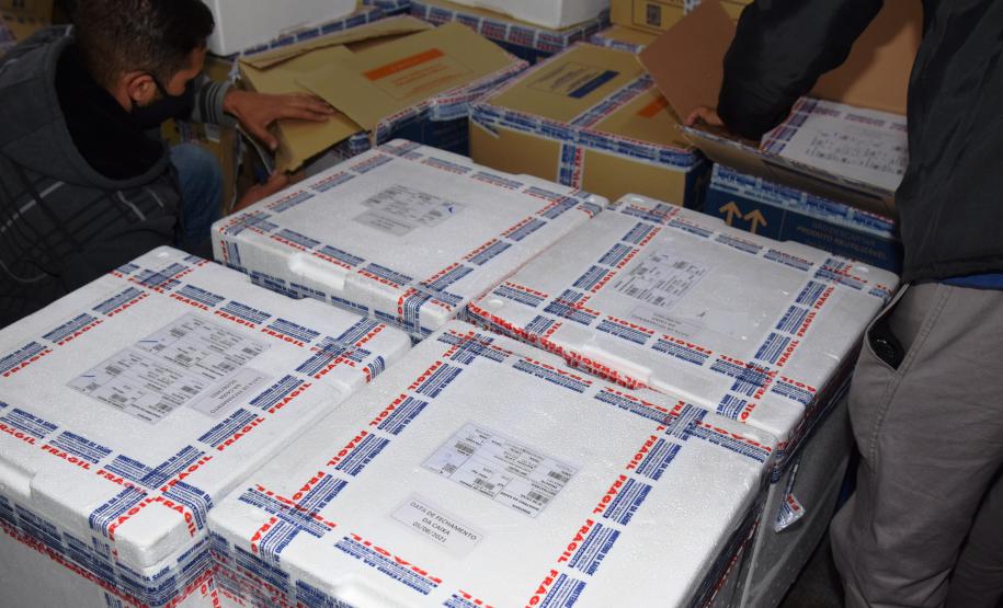 Paraná recebe novas doses e distribui mais 158,6 mil vacinas contra a Covid-19; confira o quantitativo por regional