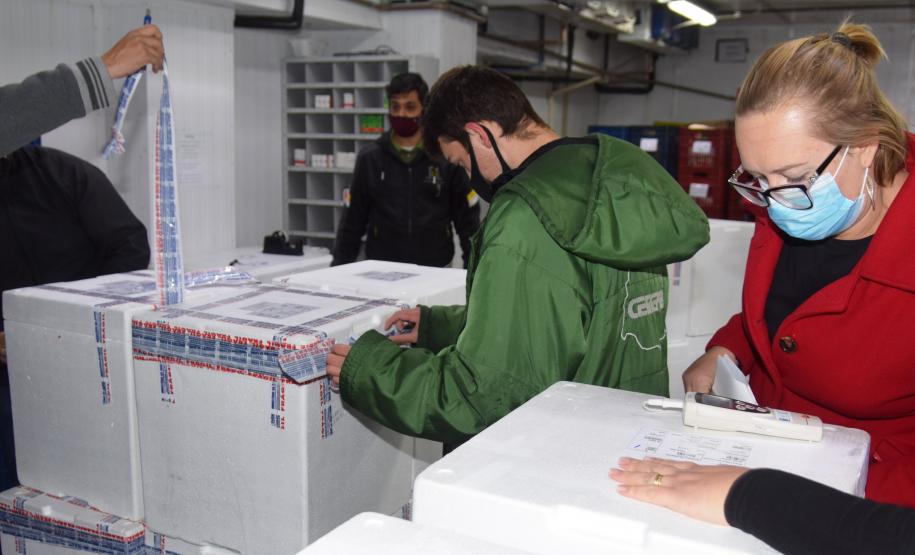 Paraná recebe novas doses e distribui mais 158,6 mil vacinas contra a Covid-19; confira o quantitativo por regional