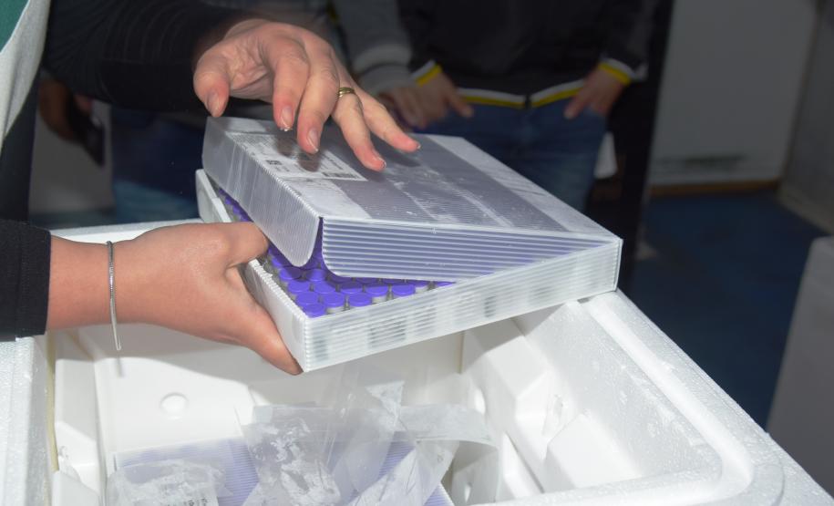 Paraná recebe novas doses e distribui mais 158,6 mil vacinas contra a Covid-19; confira o quantitativo por regional