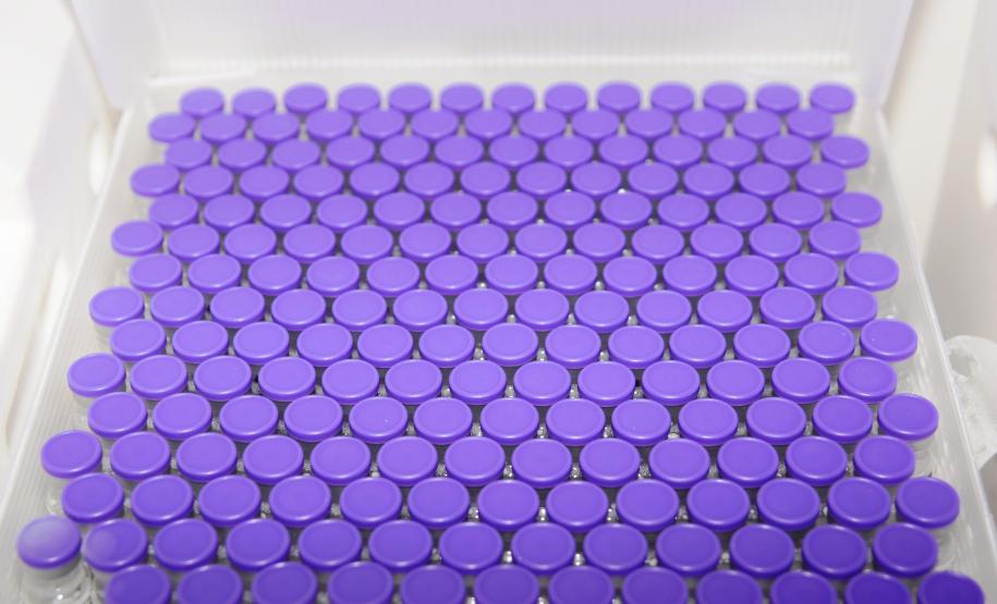 Paraná recebe novas doses e distribui mais 158,6 mil vacinas contra a Covid-19; confira o quantitativo por regional