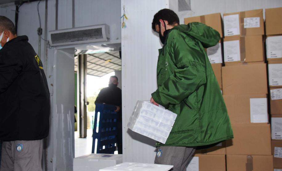 Paraná recebe novas doses e distribui mais 158,6 mil vacinas contra a Covid-19; confira o quantitativo por regional