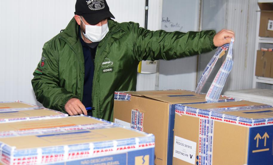 Mais 279,2 mil vacinas contra a Covid-19 chegam ao Paraná