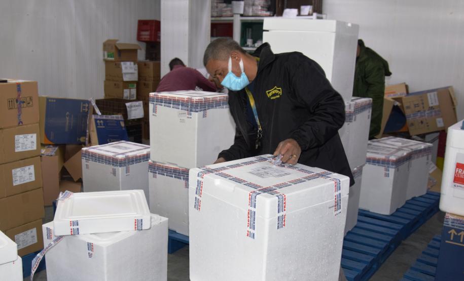 Mais 279,2 mil vacinas contra a Covid-19 chegam ao Paraná