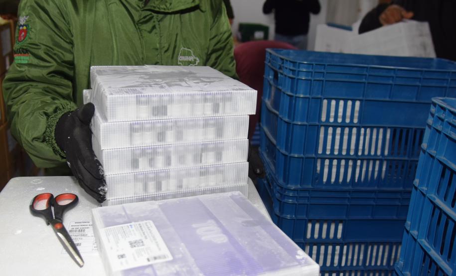 Mais 279,2 mil vacinas contra a Covid-19 chegam ao Paraná