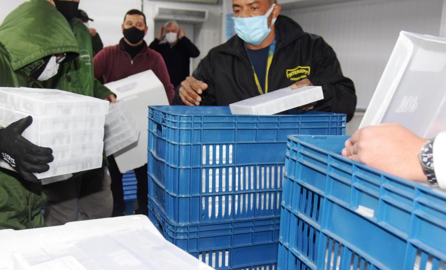 Mais 279,2 mil vacinas contra a Covid-19 chegam ao Paraná