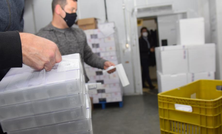 Paraná recebe novas doses e soma 209,1 mil vacinas contra a Covid-19 entregues nesta segunda