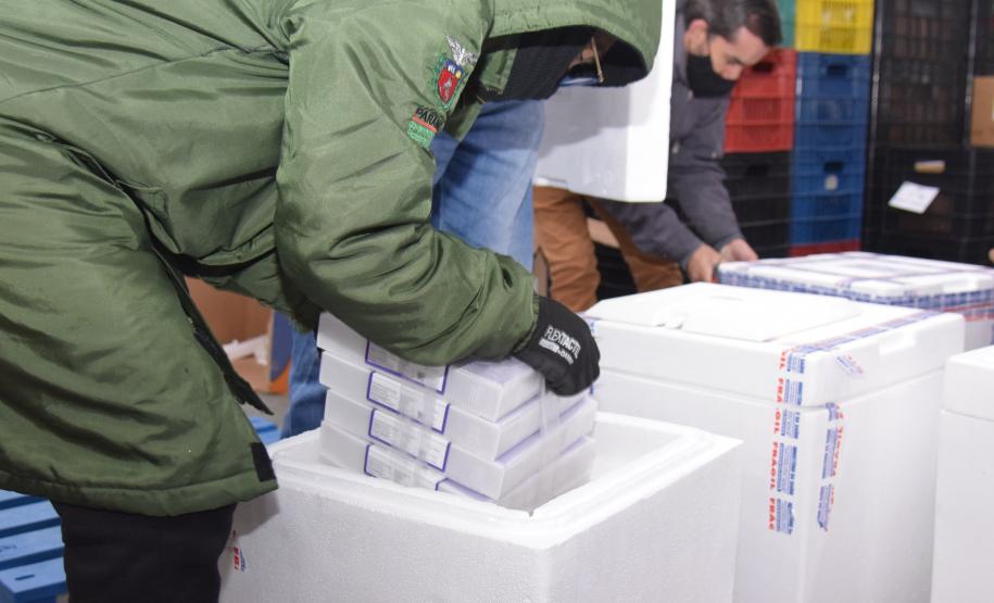 Paraná recebe novas doses e soma 209,1 mil vacinas contra a Covid-19 entregues nesta segunda