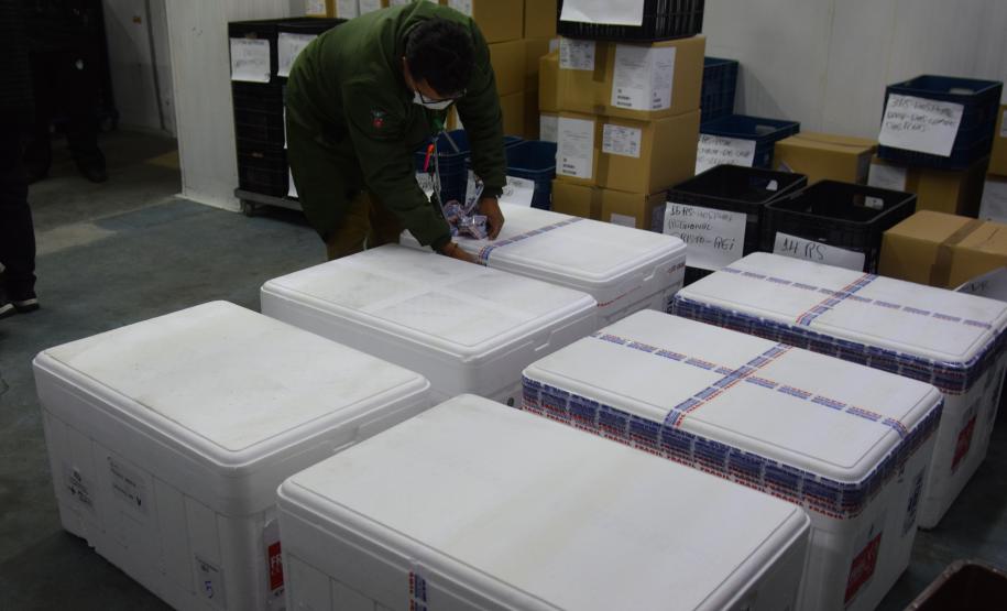 Novo lote com 114 mil vacinas contra a Covid-19 chega ao Paraná