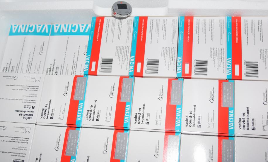 Novo lote com 114 mil vacinas contra a Covid-19 chega ao Paraná