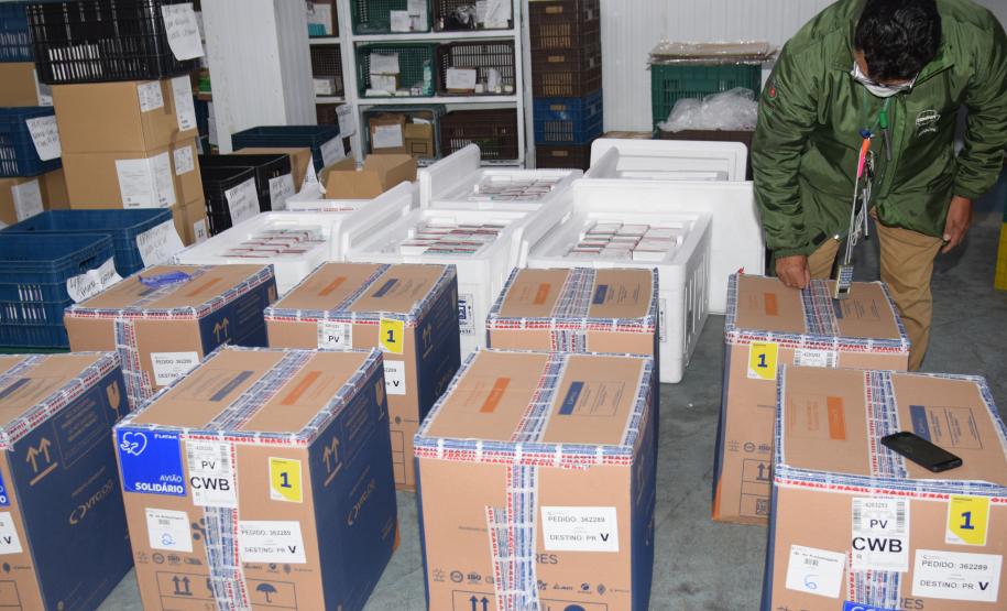 Novo lote com 114 mil vacinas contra a Covid-19 chega ao Paraná