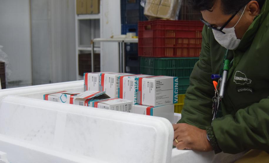 Novo lote com 114 mil vacinas contra a Covid-19 chega ao Paraná