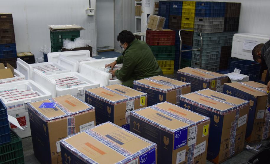 Novo lote com 114 mil vacinas contra a Covid-19 chega ao Paraná